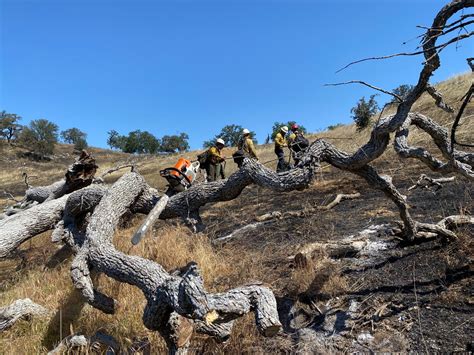 Firefighters Continue To Mop Up Brush Fire In Los Padres National