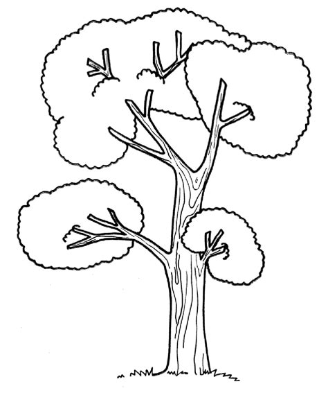 Tall Tree Coloring Pages For Kids Tc Printable Trees Coloring Pages