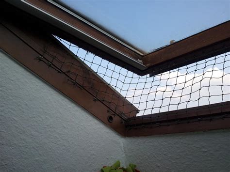 Ein beratungsgespräch zu fenstergittern in steyr vereinbaren und gitter auch für kellerfenster. Fenstersicherung für Dachfenster - Katzen Forum
