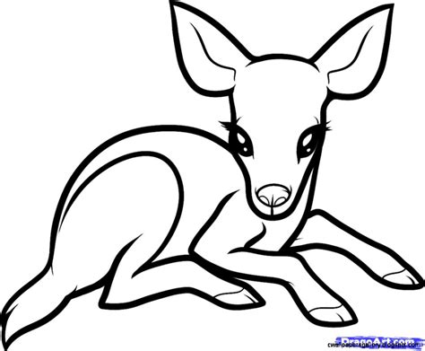 Cute coloring pages of baby animals, farm animals, insects, and zoo these fun animal coloring pages make any time a happy time! Cute Baby Animals To Draw Step By Step | Wallpapers Gallery