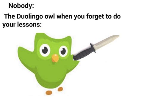 Meet The Duolingo Owl The Bird That Changed Language Learning