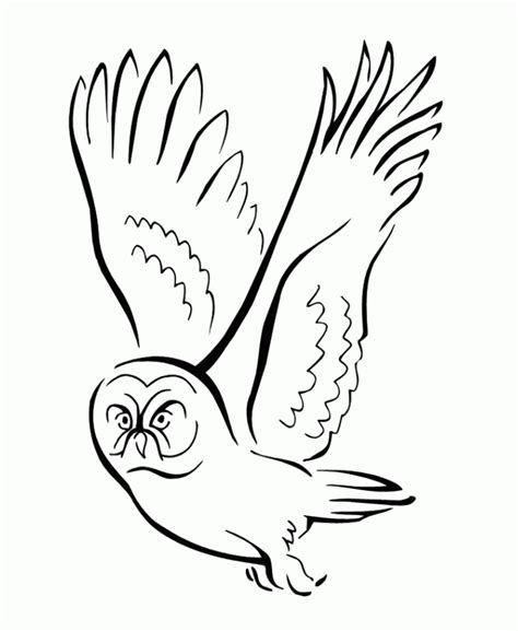 Download Flying Bird Coloring Pages - Coloring Home