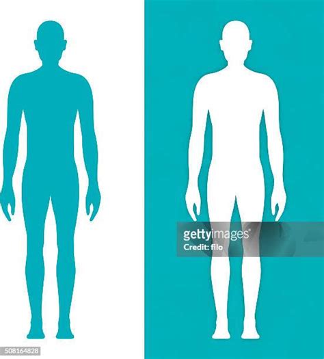 human body outline photos and premium high res pictures getty images