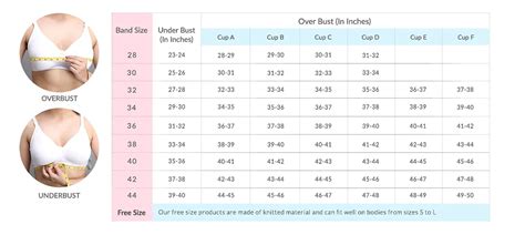 Push Up Bra And Lingerie Baalys Bra Size Chart Find Your Perfect