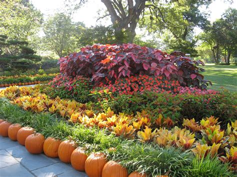 We have faux pumpkins and gourd picks for halloween as well as indian corn and harvest inspired garlands for thanksgiving. 41+ Beautiful Fall Flowers Wallpaper on WallpaperSafari
