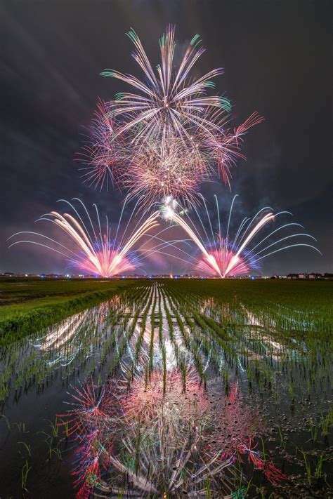 Fire Flowers Dazzle In Japans Fireworks Shows Kyoto Japan Travel