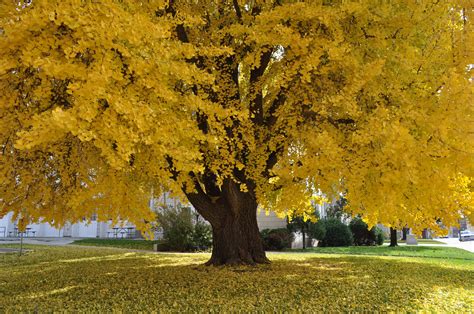 Épinglé sur Leavenworth, Kansas sites