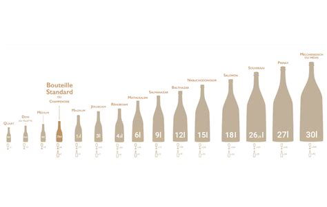Les Différentes Tailles De Bouteilles De Champagne Infographie