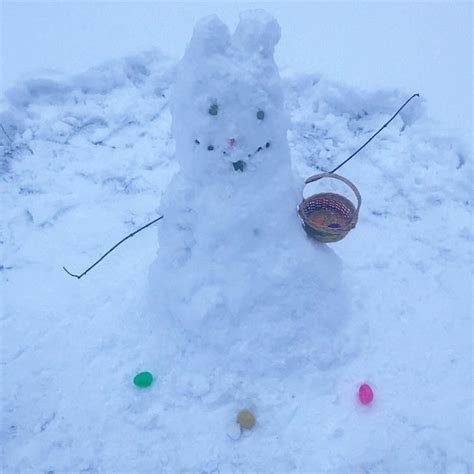 Spencer Haber — My Easter Bunny Snowman The Noreaster Bunny ☃️🐰