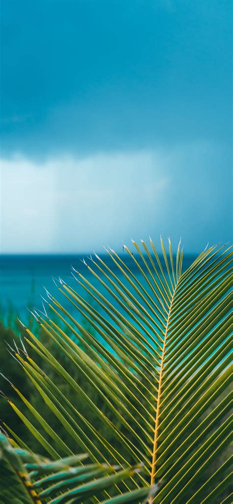Eleuthera Bahamas Iphone X Wallpapers Free Download