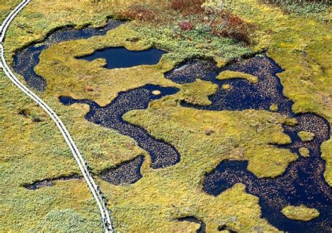 Autumn Colors Welcome Hikers Visiting Ozes Marshlands The Asahi