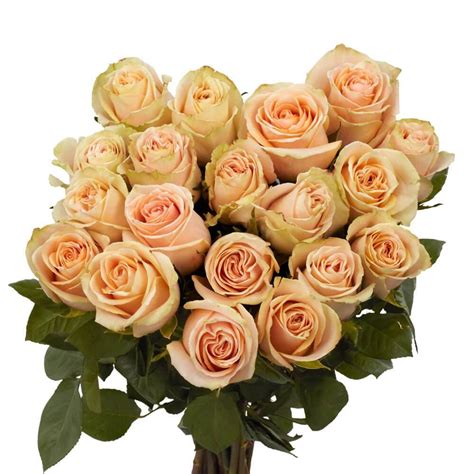 Globalrose 50 Stems Of Peach High And Arena Roses Fresh Flower Delivery