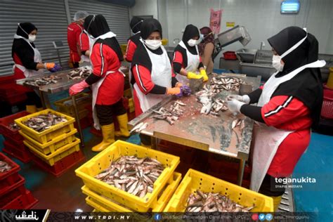 Ini mari kita coba memahami jenis perikanan di malaysia dan alat penangkap ikan tontonan pompa restian jenis dan ciri activity. Sektor Perikanan, Benih Ikan Terengganu Teratas Di ...