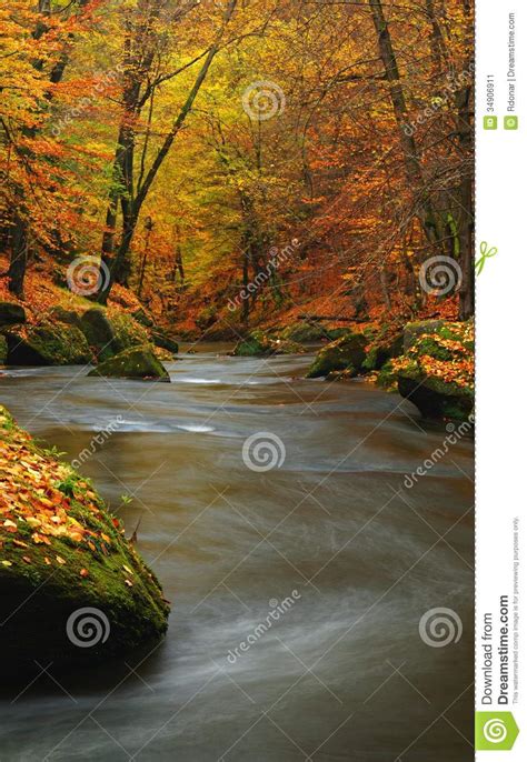 Autumn Mountain River With Blurred Waves Fresh Green