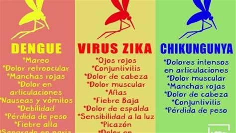 ¿cuáles Son Los Síntomas Del Zika Dengue Y Chikungunya Cbs News