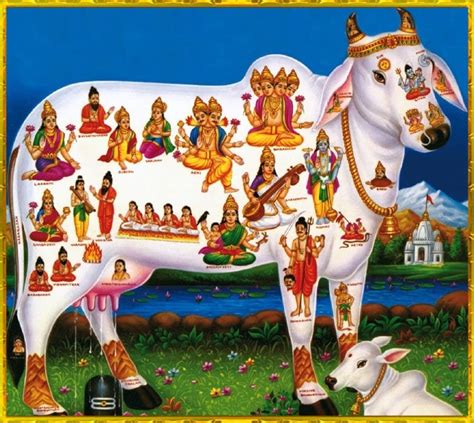 Uttarayan 2015 Hinduism