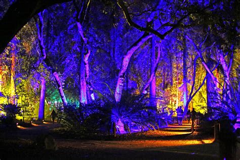Dont Miss Descanso Gardens Holiday Event Enchanted Forest Of Light
