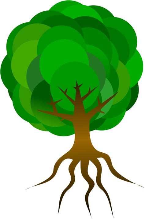 Animated Tree Roots Clipart Best