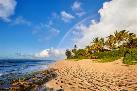Rainbow Over The Popular Surfing Place Sunset Beach Oahu Hawaii Stock