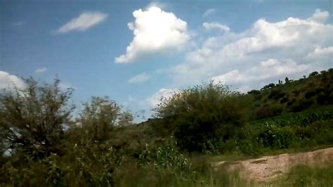 El campo 🌱🌿☘️🌲🌳🌲🌹🌷🌺🌸🏵️🌻🌼 - YouTube