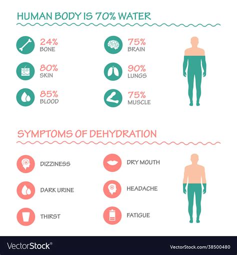 Dehydration Symptoms Infographic Royalty Free Vector Image