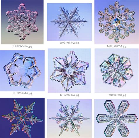 Snowflakes Under The Microscope The Washington Post