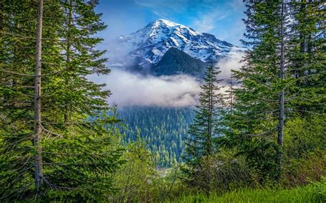 Download Wallpapers Mount Rainier National Park 4k Stratovolcano