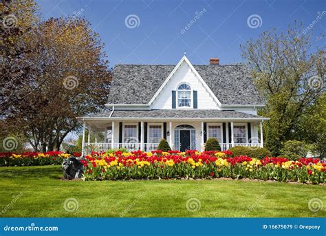 Tulip House Stock Image Image Of House Tree Home Yard 16675079