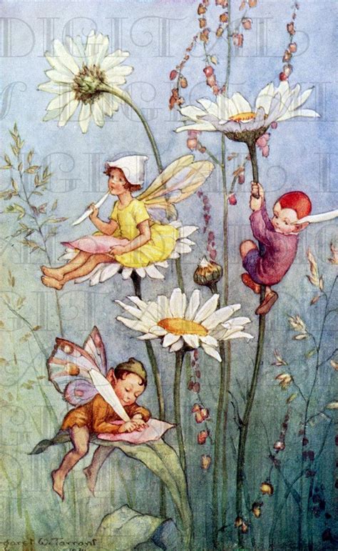 Fairy Writing On Flowers Vintage Book Plate Illustration