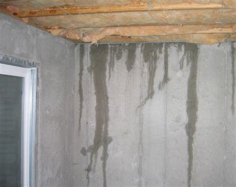 Water coming through basement cove joints can cause structural damage to your basement. A Guide to the Best Basement Waterproofing Solutions ...