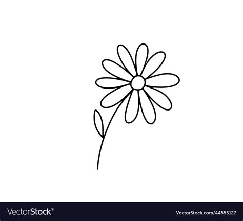 Hand Drawn Flower Daisy Outline Sketch Royalty Free Vector