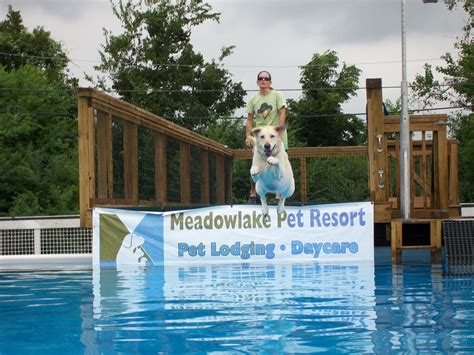 Meadowlake Pet Resort Offers Dock Dogs Training Houston Pettalk