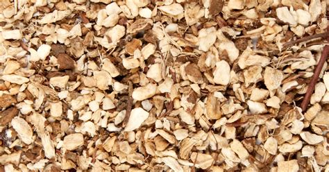 The most common dried yucca root material is cotton. Yucca (Leaf,root), Yucca filamentosa - Top Quality Herbs ...