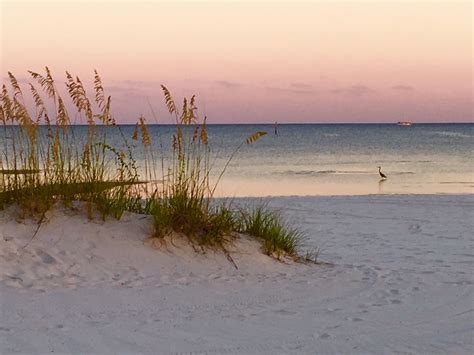 Gulfport, Mississippi | Beach pictures, Beach, Favorite places