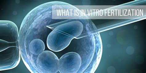 The competition watchdog has created new tough guidelines for clinics. What Is IVF (In Vitro Fertilization)? — Atlantic Health ...