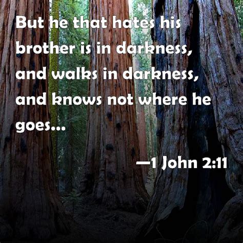 1 John 2 11 But He That Hates His Brother Is In Darkness And Walks In