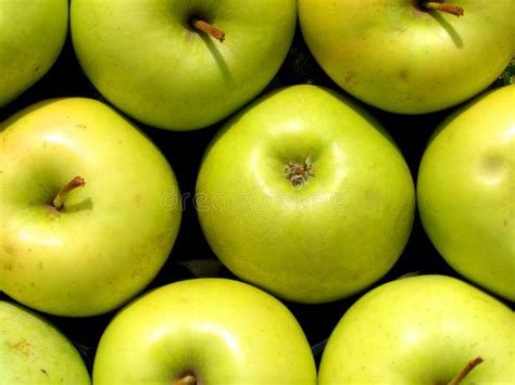 Green Apples Texture Stock Image Image Of Object Detail 16291937