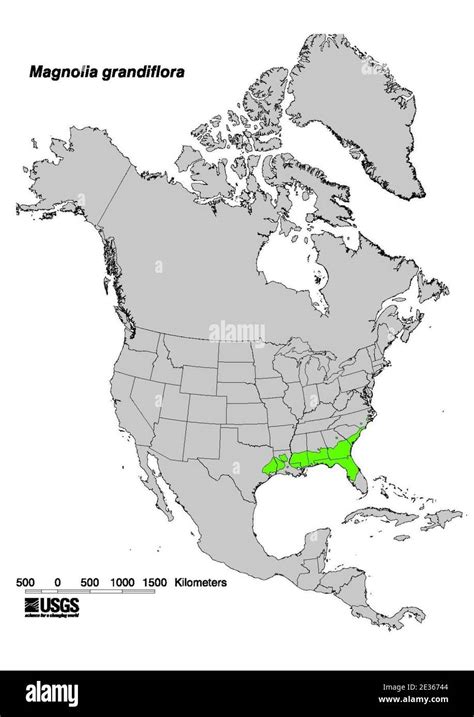Magnolia Grandiflora Range Map Stock Photo Alamy