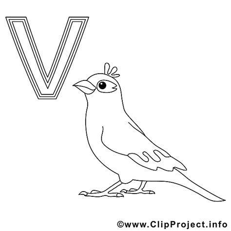 Vogel Illustration Alphabet Allemand à Imprimer Alphabet Allemand
