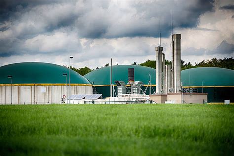 Compressed Biogas Metano Industries