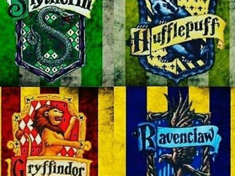 qual seria sua casa de hogwarts quizur