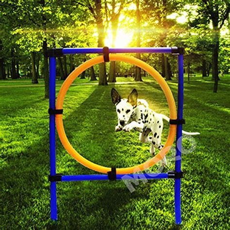 ZOIC PET OUTDOOR GAMES-DOG AGILITY EXERCISE EQUIPMENT Jump Hurdle bar