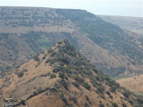 תוספי מזון, ויטמינים ומינרלים, תוספים לספורטאים, שמנים, צמחי מרפא וקוסמטיקה טבעית מהחברות המובילות בארץ. רשות שמורות הטבע והגנים הלאומיים רשימת אתרים - lazafon-pro ...