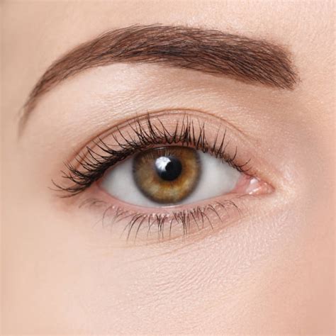 Royalty Free Hazel Eyes Pictures Images And Stock Photos Istock