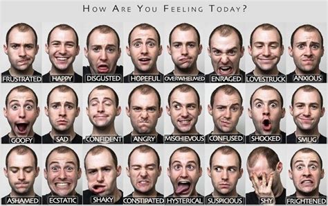 evocative design the power of emotion facial expressions face expressions emotion chart