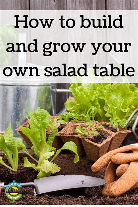 Build A Salad Table To Grow Your Greens Living On The Cheap