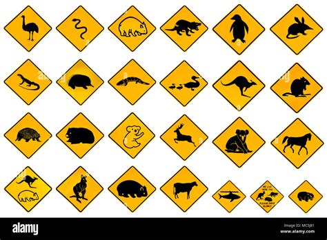 Wildlife Warning Signs