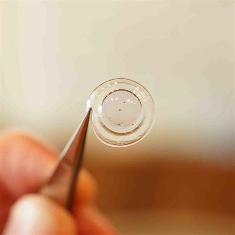 hybrid contact lens two c eye care