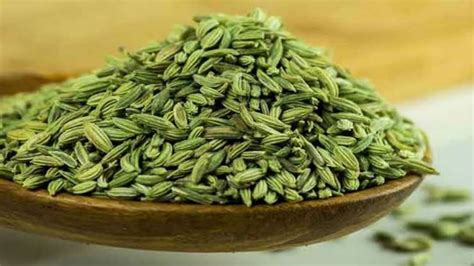 Fennel Seeds Pros And Recipe To Get All The Goodness Of The Herb Iwmbuzz