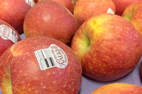 Organic Envy Apples | Produce Geek